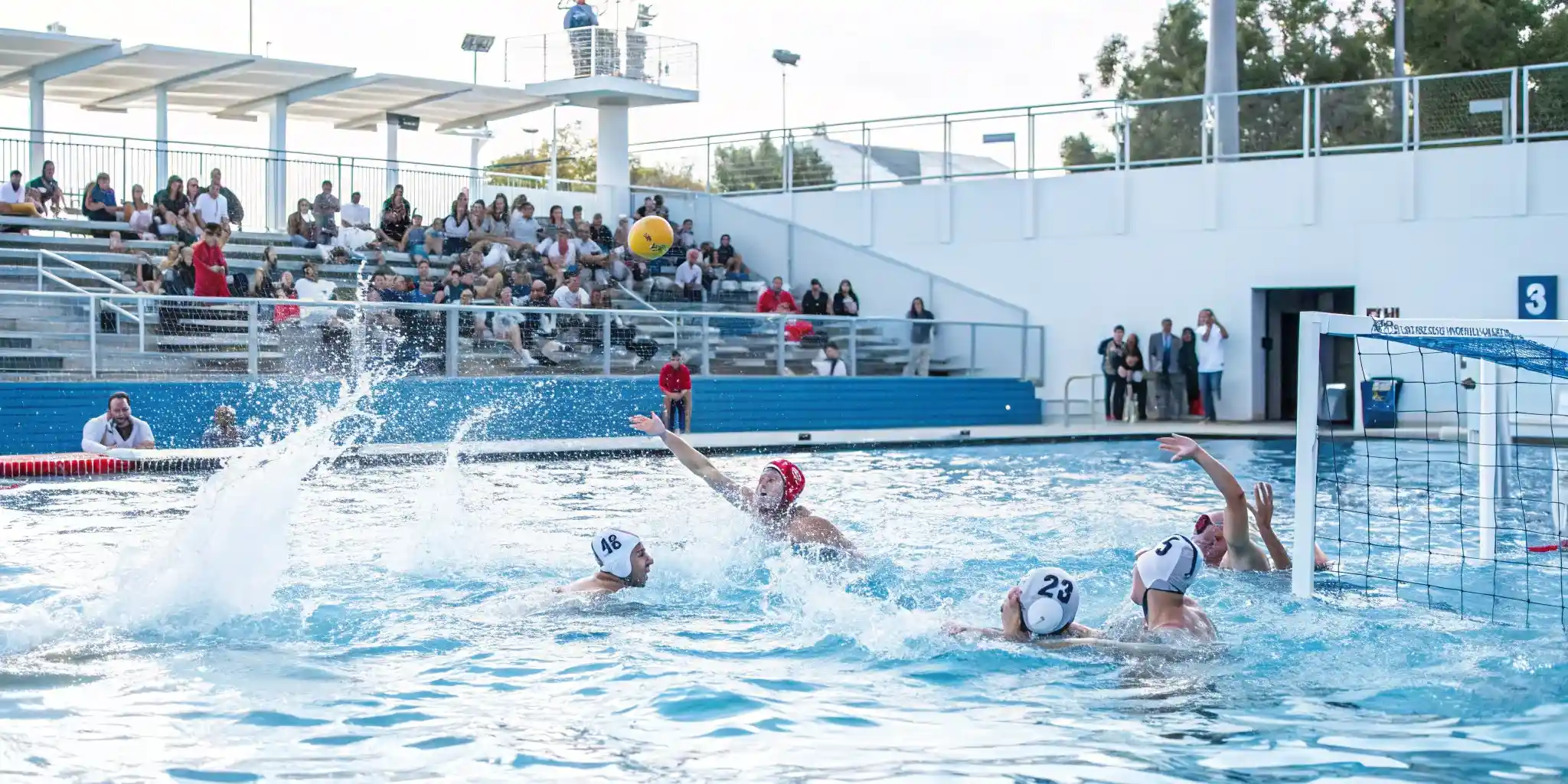 Vízilabda Világbajnokság